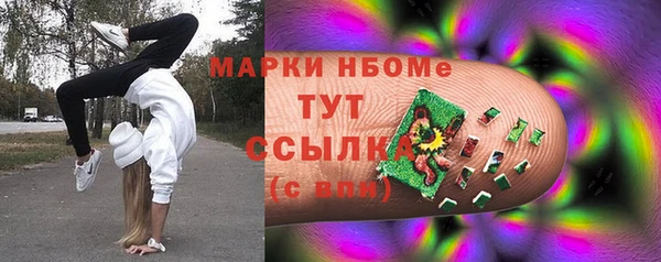 шишки Новокубанск