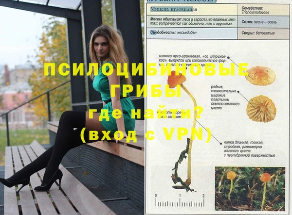 mdpv Алексеевка