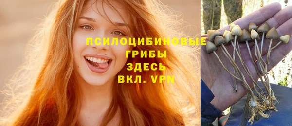 круглые Алзамай