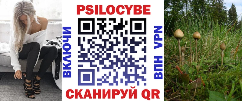 блэк спрут tor  Аргун  Псилоцибиновые грибы Psilocybe 